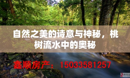 自然之美的詩(shī)意與神秘，桃樹(shù)流水中的奧秘