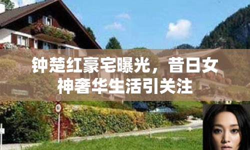 鐘楚紅豪宅曝光，昔日女神奢華生活引關(guān)注