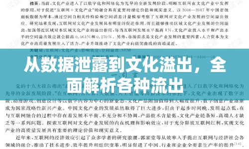 從數(shù)據(jù)泄露到文化溢出，全面解析各種流出