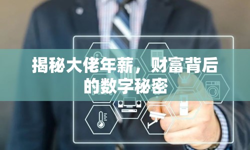 揭秘大佬年薪，財富背后的數(shù)字秘密