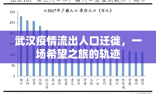 武漢疫情流出人口遷徙，一場希望之旅的軌跡