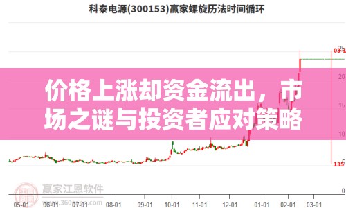 價(jià)格上漲卻資金流出，市場(chǎng)之謎與投資者應(yīng)對(duì)策略