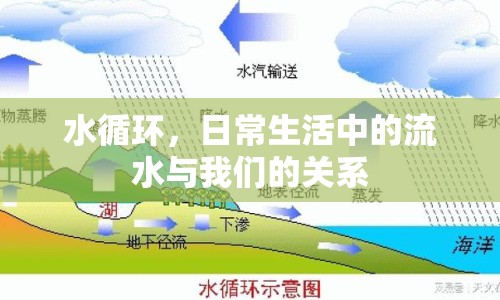 水循環(huán)，日常生活中的流水與我們的關(guān)系