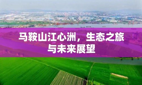 馬鞍山江心洲，生態(tài)之旅與未來展望