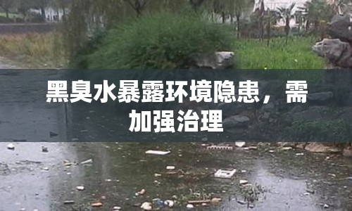 黑臭水暴露環(huán)境隱患，需加強(qiáng)治理