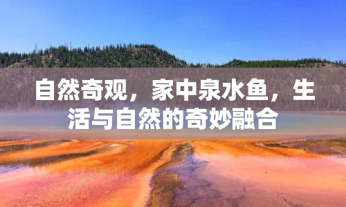 自然奇觀，家中泉水魚，生活與自然的奇妙融合