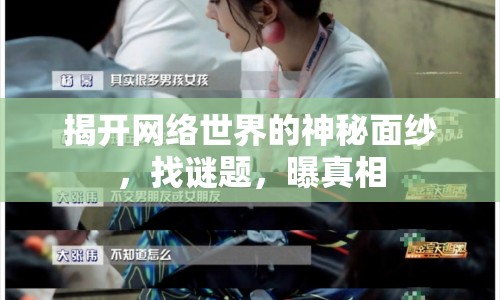 揭開網(wǎng)絡(luò)世界的神秘面紗，找謎題，曝真相
