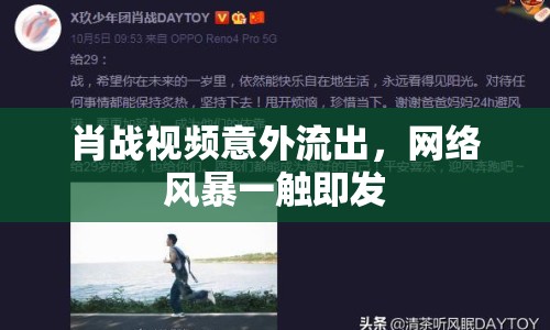 肖戰(zhàn)視頻意外流出，網(wǎng)絡風暴一觸即發(fā)
