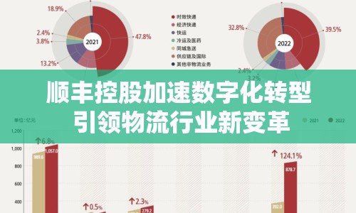 順豐控股加速數(shù)字化轉(zhuǎn)型 引領(lǐng)物流行業(yè)新變革