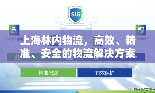 上海林內(nèi)物流，高效、精準(zhǔn)、安全的物流解決方案