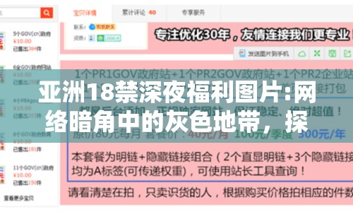 亞洲18禁深夜福利圖片:網(wǎng)絡(luò)暗角中的灰色地帶，探討成人內(nèi)容的邊界與影響