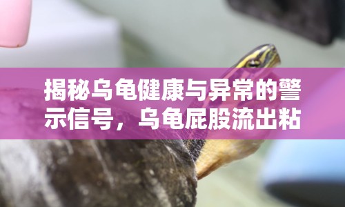 揭秘烏龜健康與異常的警示信號(hào)，烏龜屁股流出粘液的原因