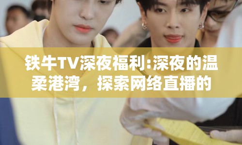 鐵牛TV深夜福利:深夜的溫柔港灣，探索網(wǎng)絡(luò)直播的新維度