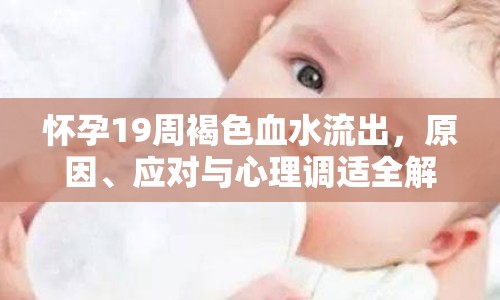 懷孕19周褐色血水流出，原因、應(yīng)對與心理調(diào)適全解析