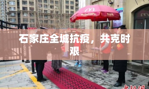 石家莊全城抗疫，共克時艱