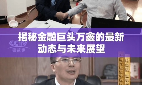 揭秘金融巨頭萬鑫的最新動態(tài)與未來展望