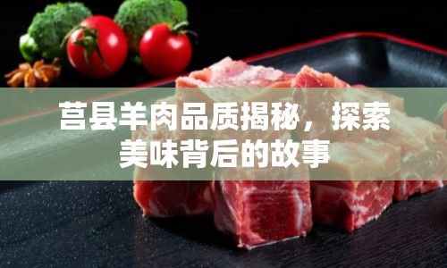 莒縣羊肉品質(zhì)揭秘，探索美味背后的故事