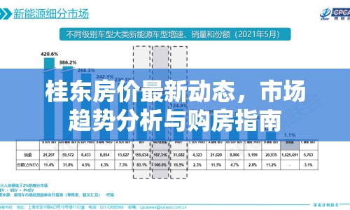 桂東房?jī)r(jià)最新動(dòng)態(tài)，市場(chǎng)趨勢(shì)分析與購(gòu)房指南