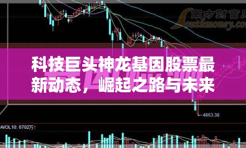 科技巨頭神龍基因股票最新動態(tài)，崛起之路與未來展望