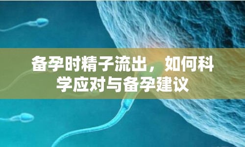 備孕時精子流出，如何科學應對與備孕建議
