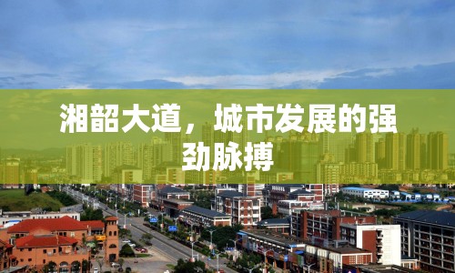 湘韶大道，城市發(fā)展的強勁脈搏