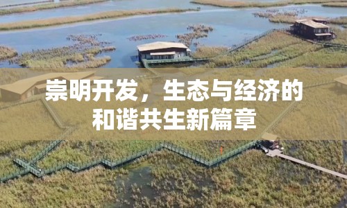 崇明開發(fā)，生態(tài)與經(jīng)濟(jì)的和諧共生新篇章