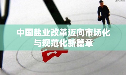 中國鹽業(yè)改革邁向市場化與規(guī)范化新篇章