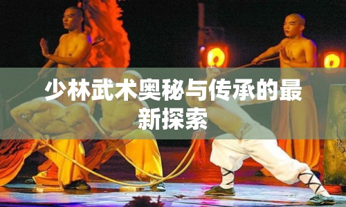 少林武術(shù)奧秘與傳承的最新探索