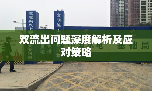 雙流出問(wèn)題深度解析及應(yīng)對(duì)策略