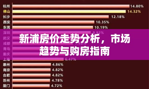 新浦房價走勢分析，市場趨勢與購房指南