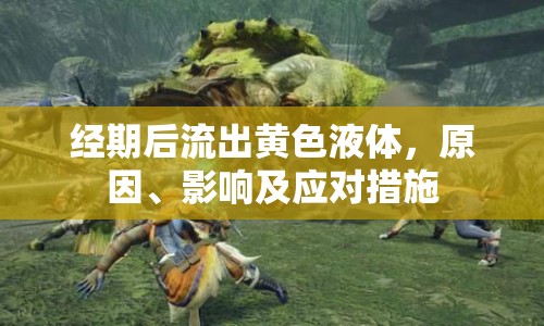 經(jīng)期后流出黃色液體，原因、影響及應(yīng)對措施