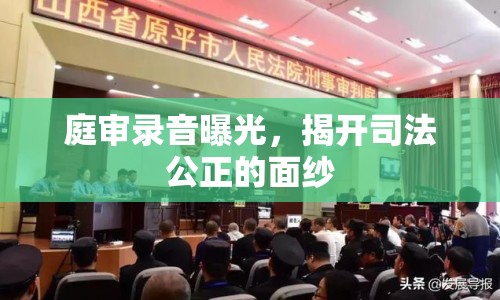 庭審錄音曝光，揭開司法公正的面紗