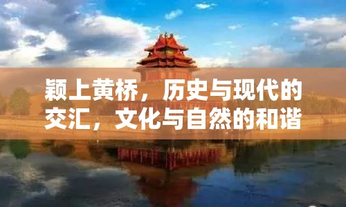 穎上黃橋，歷史與現(xiàn)代的交匯，文化與自然的和諧