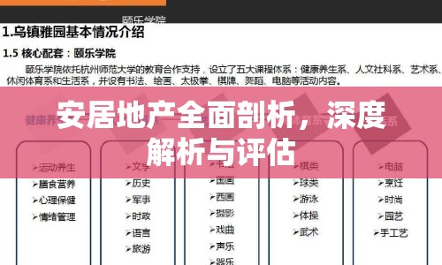 安居地產(chǎn)全面剖析，深度解析與評估
