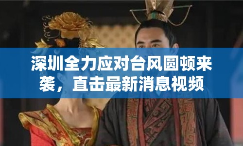 深圳全力應(yīng)對臺風(fēng)圓頓來襲，直擊最新消息視頻