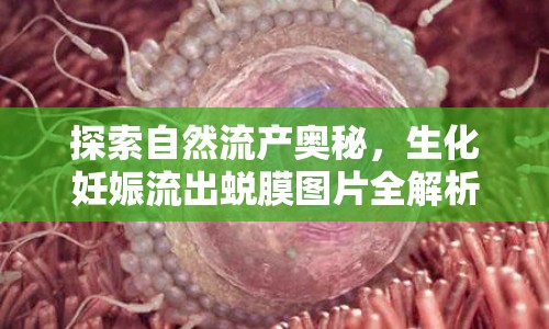 探索自然流產(chǎn)奧秘，生化妊娠流出蛻膜圖片全解析