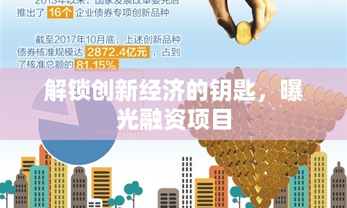解鎖創(chuàng)新經(jīng)濟的鑰匙，曝光融資項目