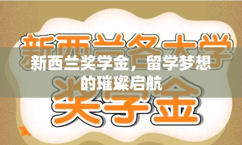 新西蘭獎學金，留學夢想的璀璨啟航
