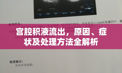 宮腔積液流出，原因、癥狀及處理方法全解析