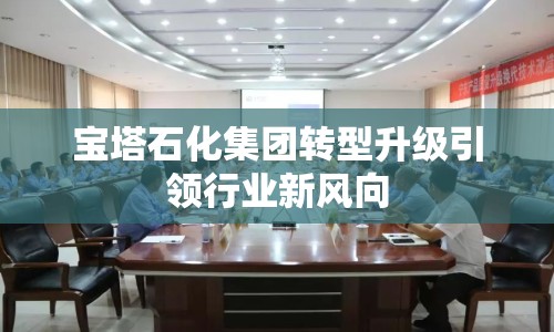 寶塔石化集團轉(zhuǎn)型升級引領行業(yè)新風向