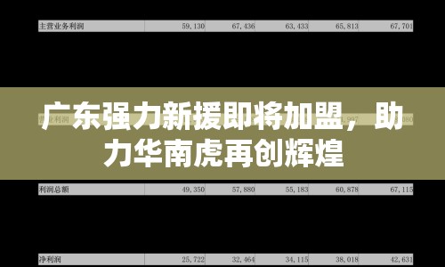 廣東強力新援即將加盟，助力華南虎再創(chuàng)輝煌