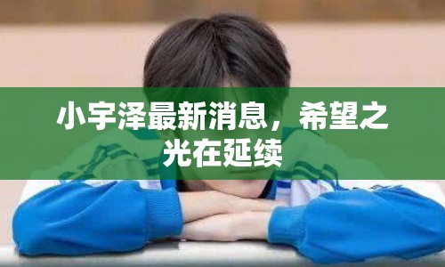 小宇澤最新消息，希望之光在延續(xù)