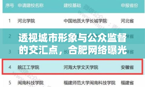 透視城市形象與公眾監(jiān)督的交匯點，合肥網(wǎng)絡(luò)曝光事件