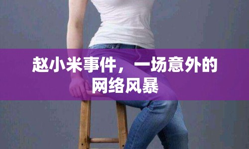趙小米事件，一場(chǎng)意外的網(wǎng)絡(luò)風(fēng)暴