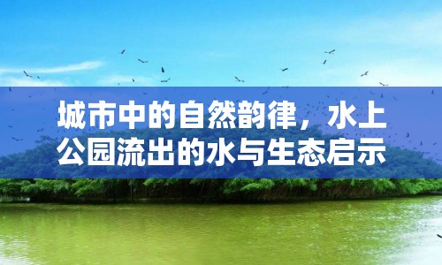 城市中的自然韻律，水上公園流出的水與生態(tài)啟示