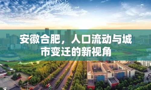 安徽合肥，人口流動(dòng)與城市變遷的新視角