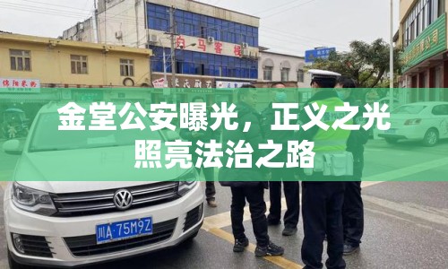 金堂公安曝光，正義之光照亮法治之路