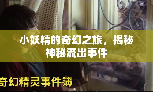 小妖精的奇幻之旅，揭秘神秘流出事件
