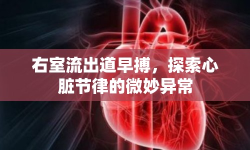 右室流出道早搏，探索心臟節(jié)律的微妙異常