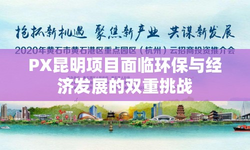 PX昆明項目面臨環(huán)保與經(jīng)濟(jì)發(fā)展的雙重挑戰(zhàn)
